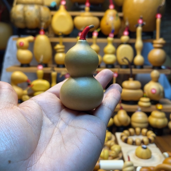 小***鱼天然葫芦自然生长