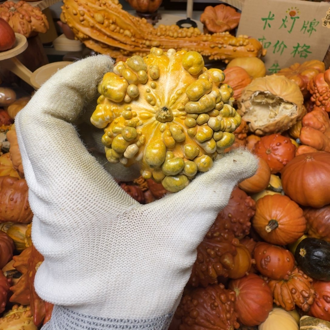 红***红特价原皮葫芦不退不换