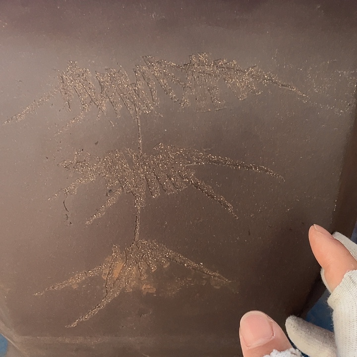 紫砂宜兴紫砂31切角四方