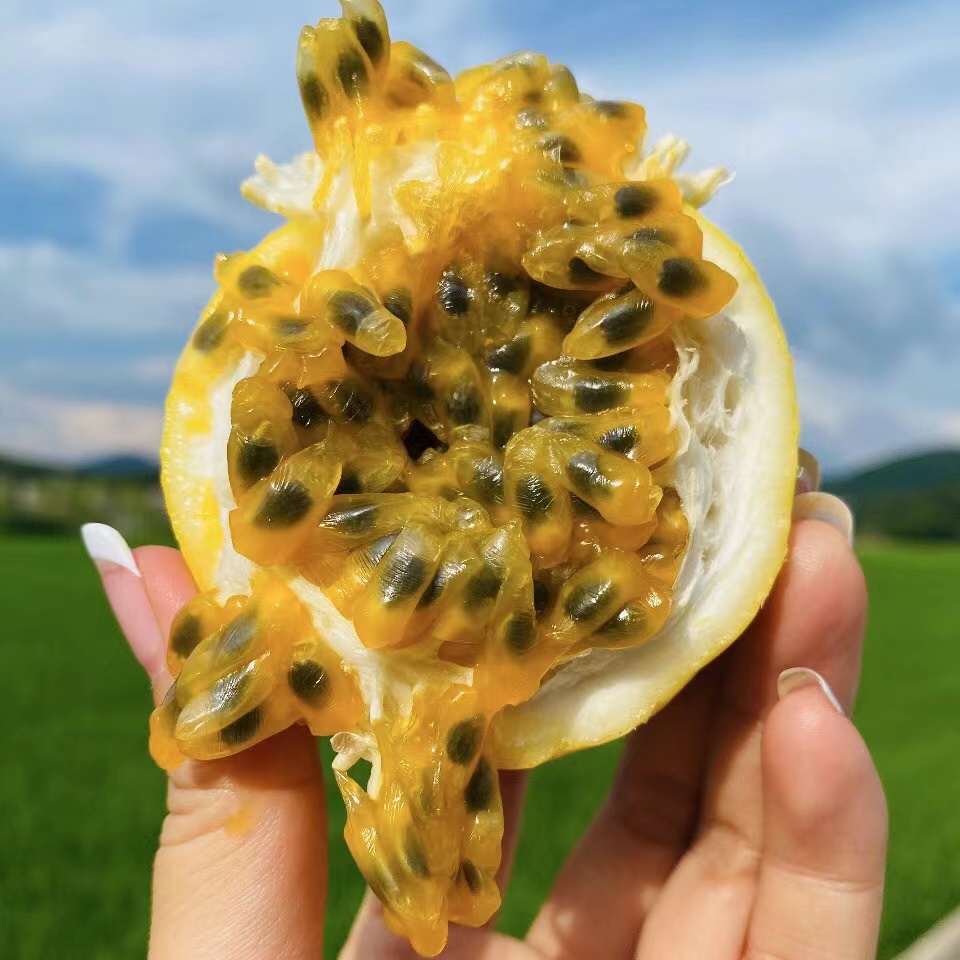 我是不白吃 广西钦蜜9号黄金百香果正宗香甜多汁夏日水果饮料果汁