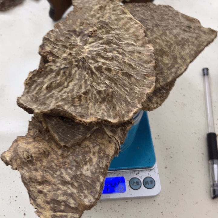 沉香沉香木制品海南沉香51克