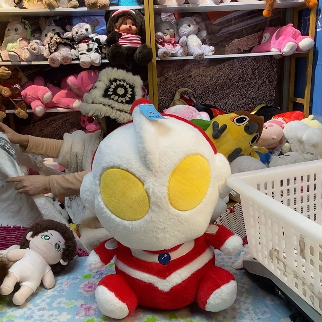 毛绒星**谜毛绒玩具022