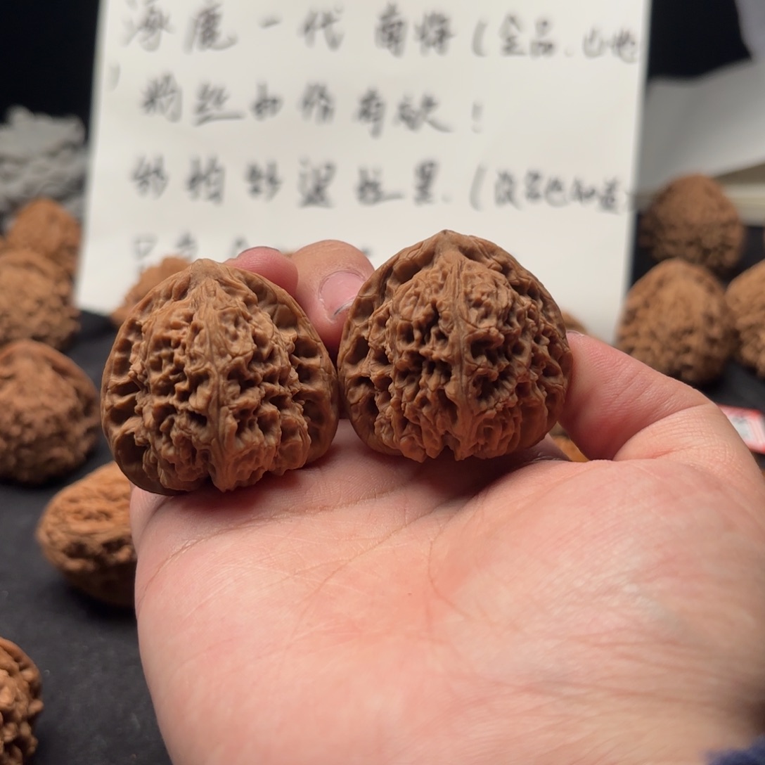 简***乐核桃涿鹿南疆一代