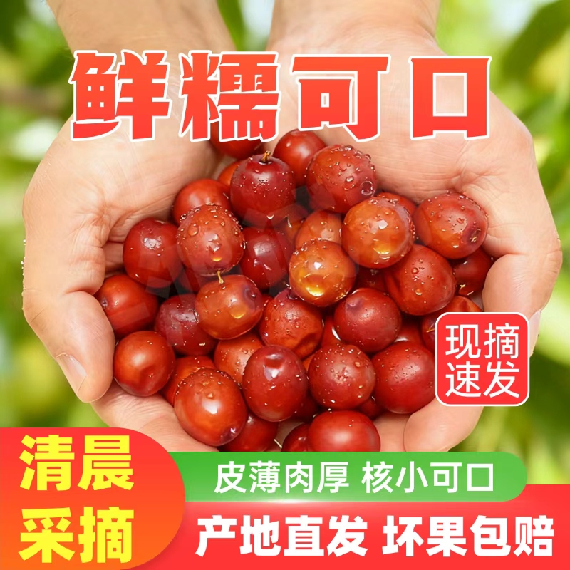 朝阳大山枣微酸大酸枣新鲜现摘现灰枣红枣脆枣冬枣皮薄肉厚大枣