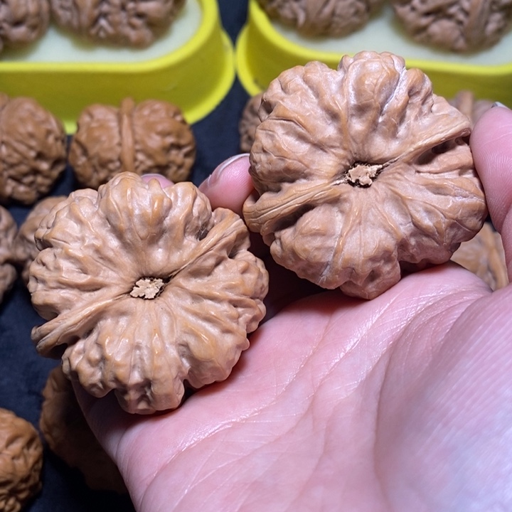文玩核桃把件姚*熊蛙蛙46