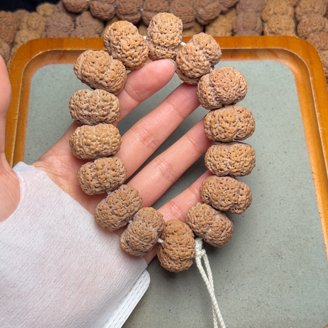 菩提36号金刚菩提夹板菠萝蜜25