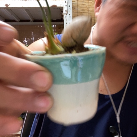 红陶博**哥一物一拍所见即所得121