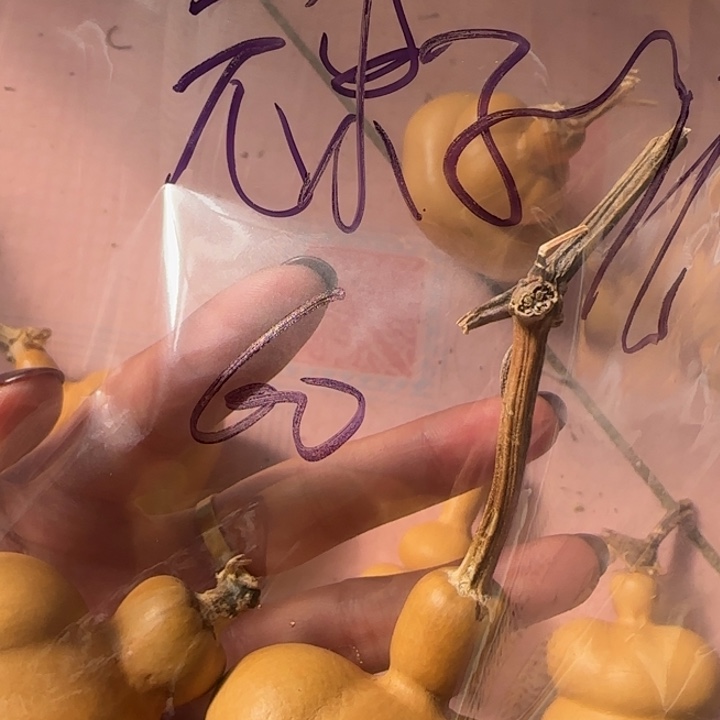 元***儿葫芦手把件葫芦钱袋子