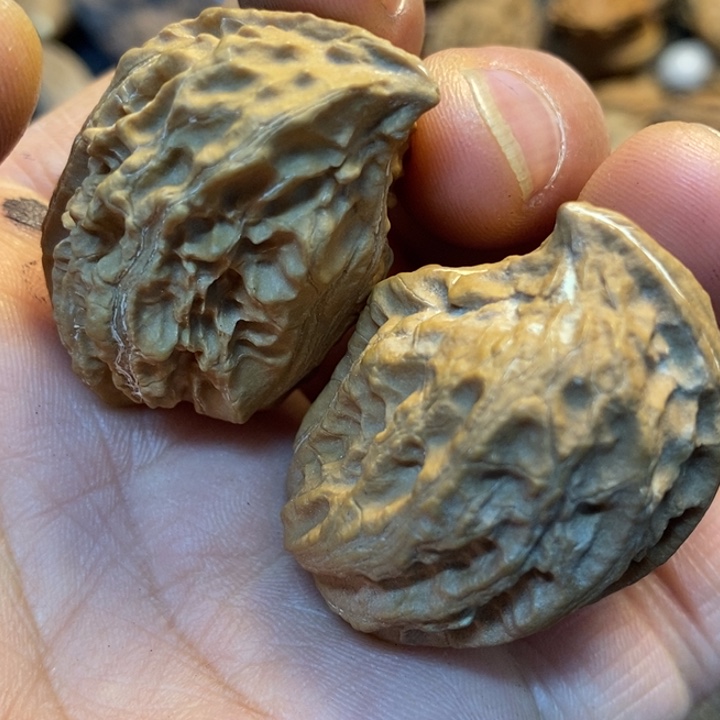 吊坠桃核娜姐真的225