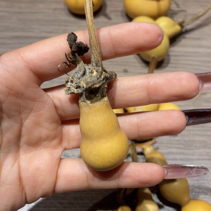 达***菲葫芦葫芦葫芦葫芦