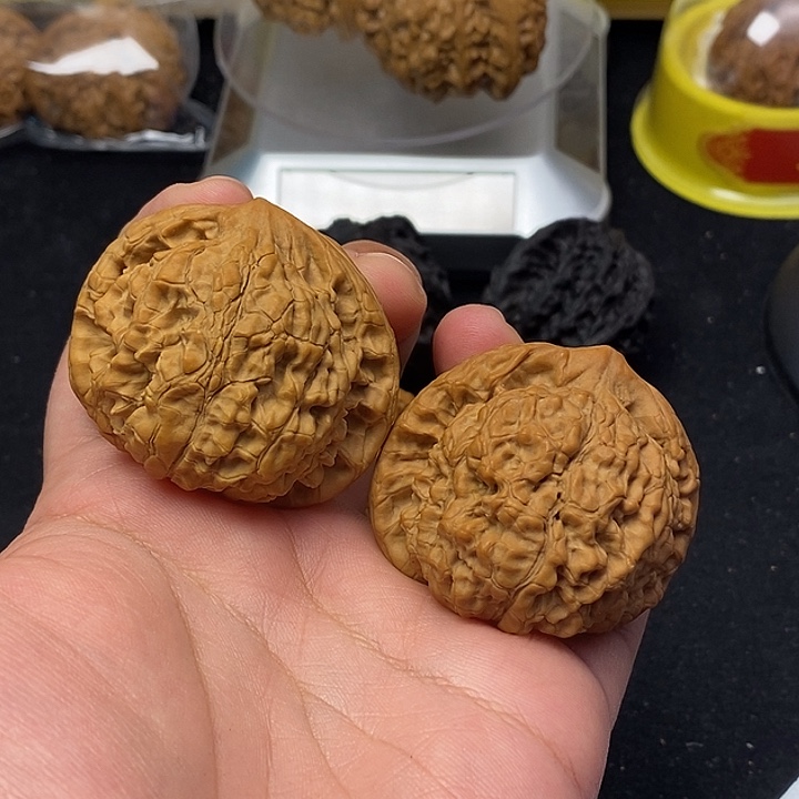 龙脊菩提吊坠龙顶帽