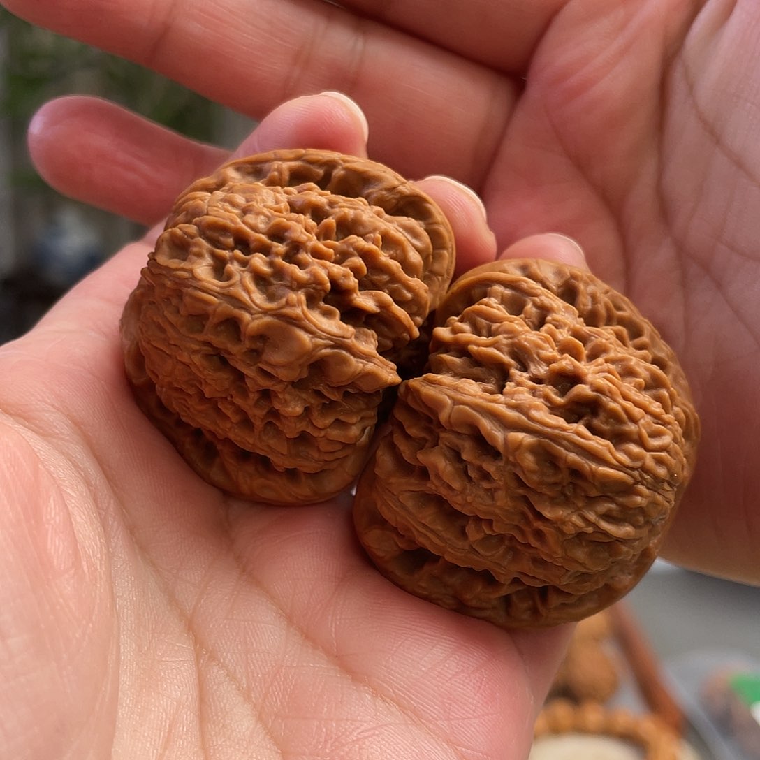 桃核把件44.5×41尺涿鹿老树南将石CN01380