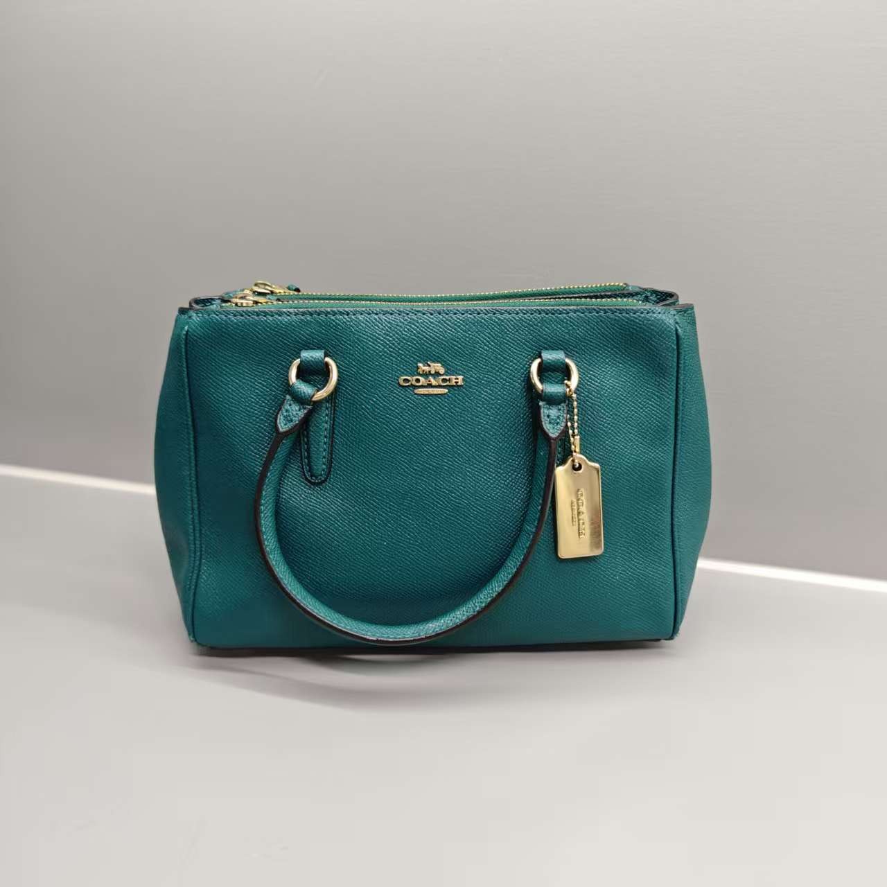 95新 COACH/蔻驰 哈蜜精选/单肩包/无工价/包展/2454