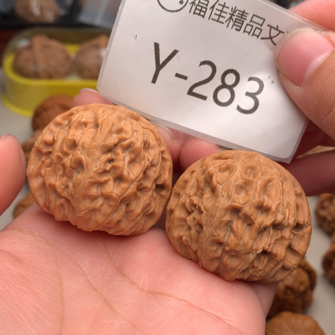 文玩核桃把件40白狮子…………