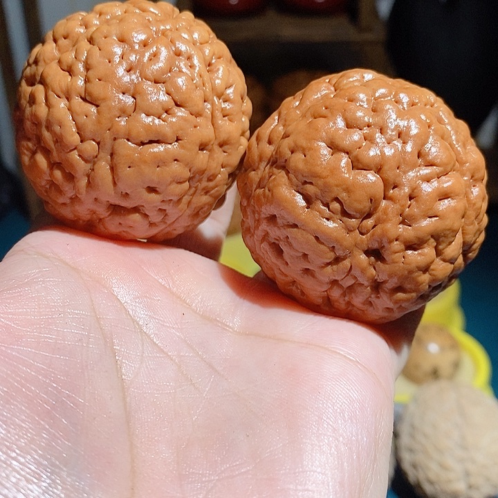 野生三瓣脑纹大金刚4650