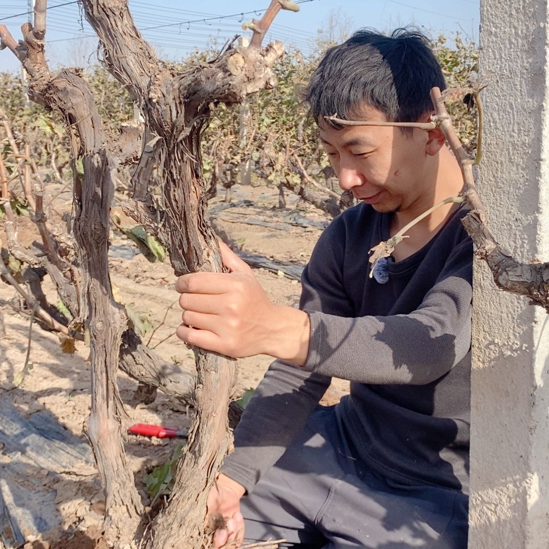 无花朵111111111111