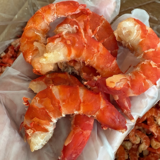 纯野淡干九节虾仁干广东湛江特产即食正宗大海米虾仁干货活虾现烤