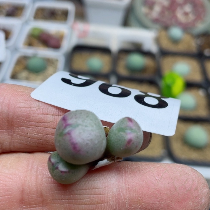 968嘟嘟嘴流水铜壶