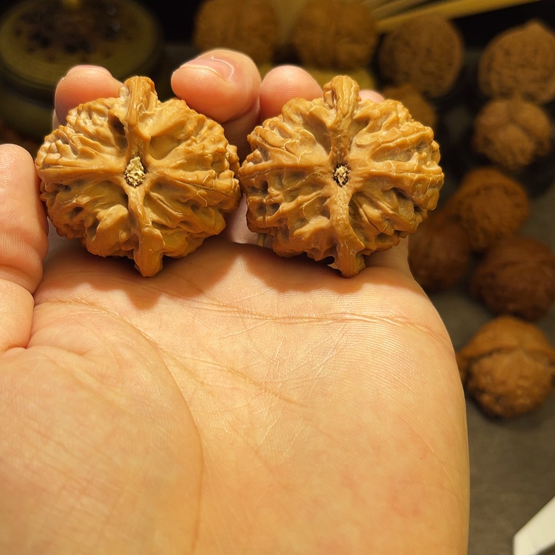 文玩核桃把件41.5全品苹果园