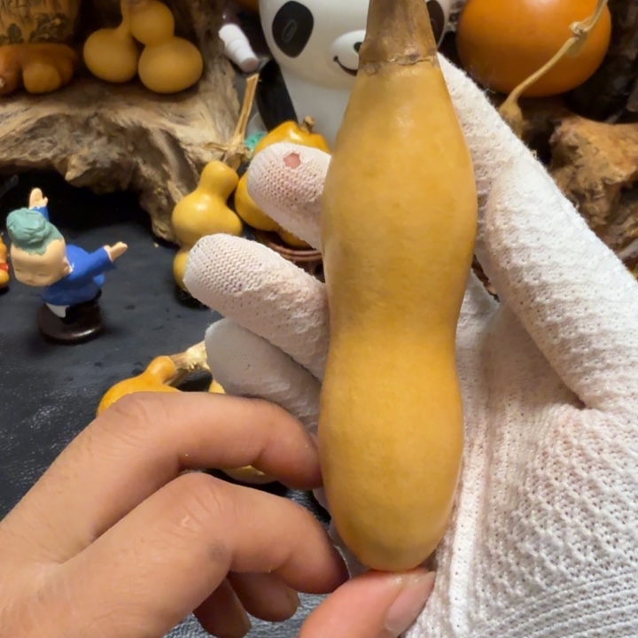 金***钻66……………………………………