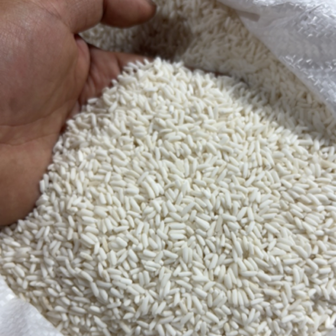 【农家糯米】湖南湘西农家自种长粒糯米