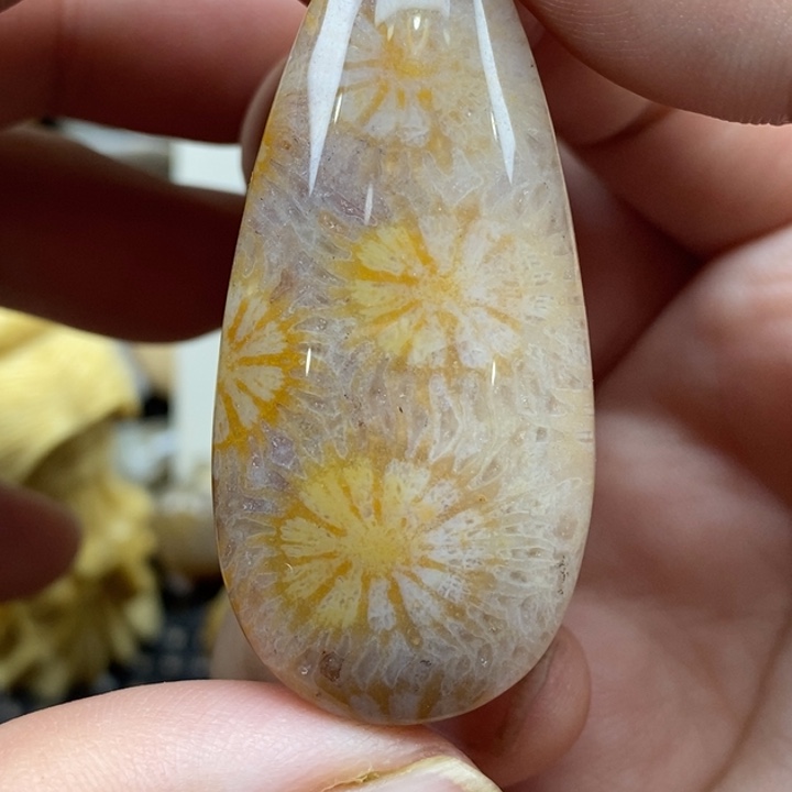 硅化珊瑚（珊瑚玉）未镶嵌颈饰