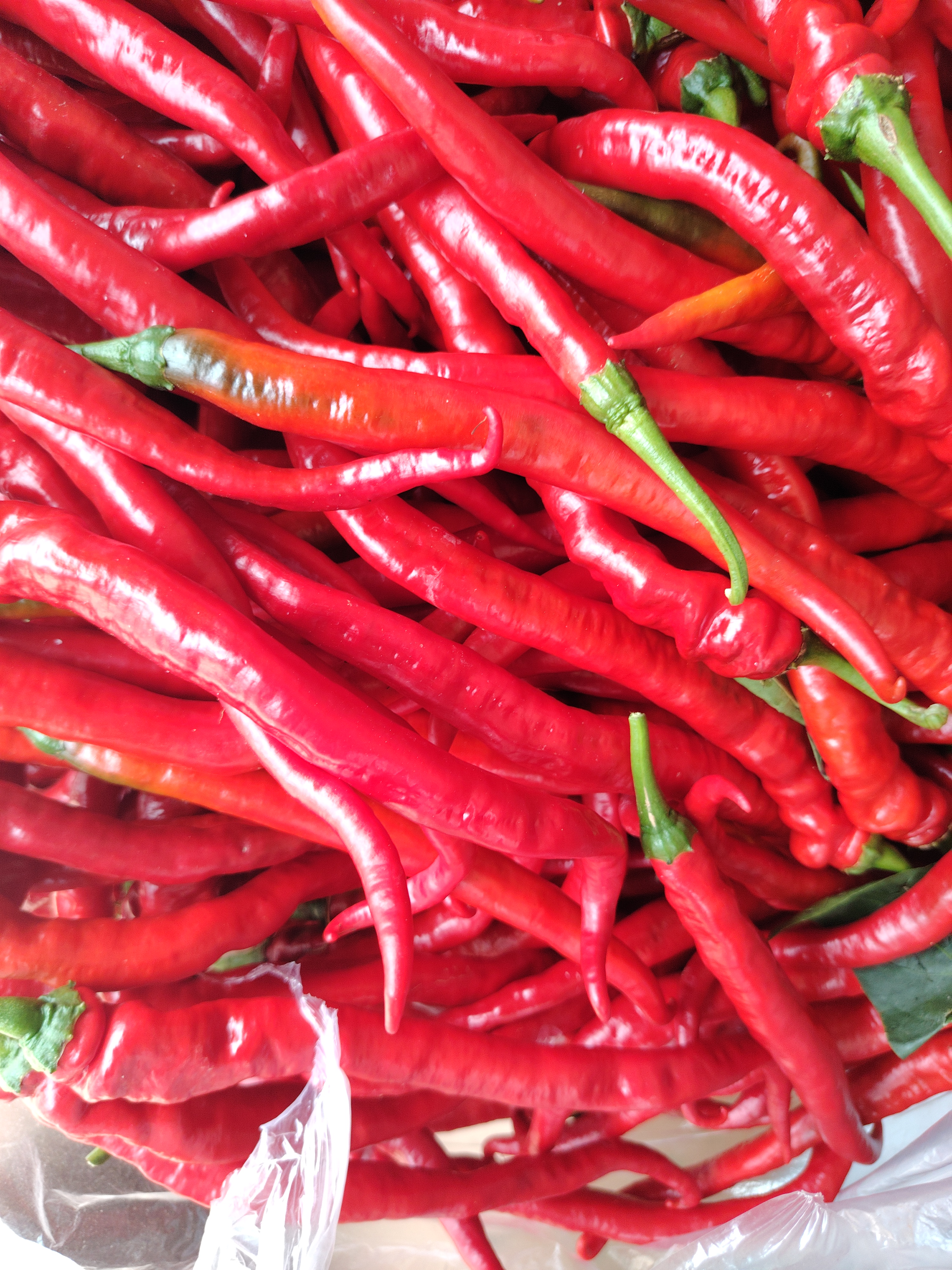 （新亮新农人）新鲜红辣椒现摘现发