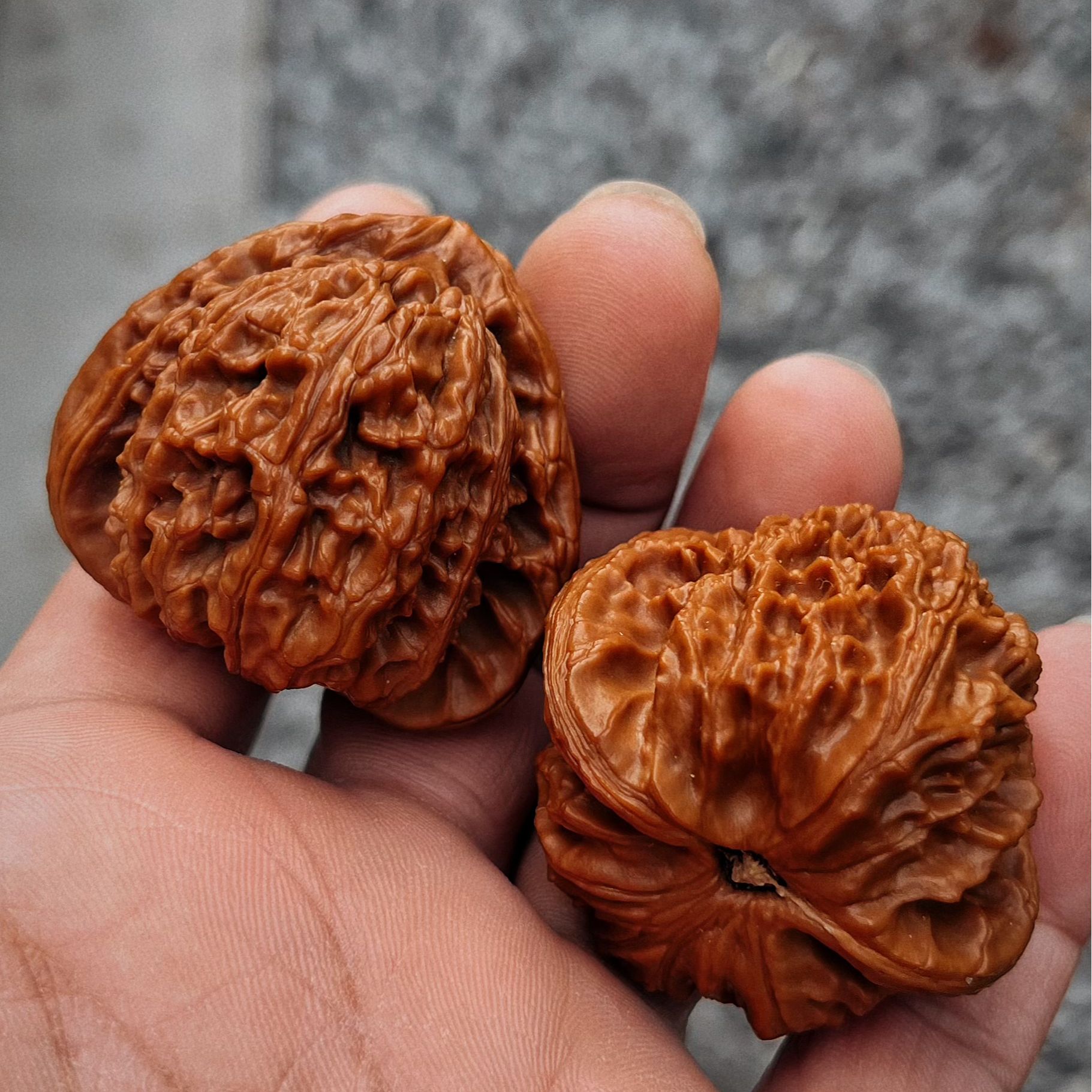 (1)号  1000元以内 直播间 文玩核桃 一物一图下单链接，请勿乱拍。