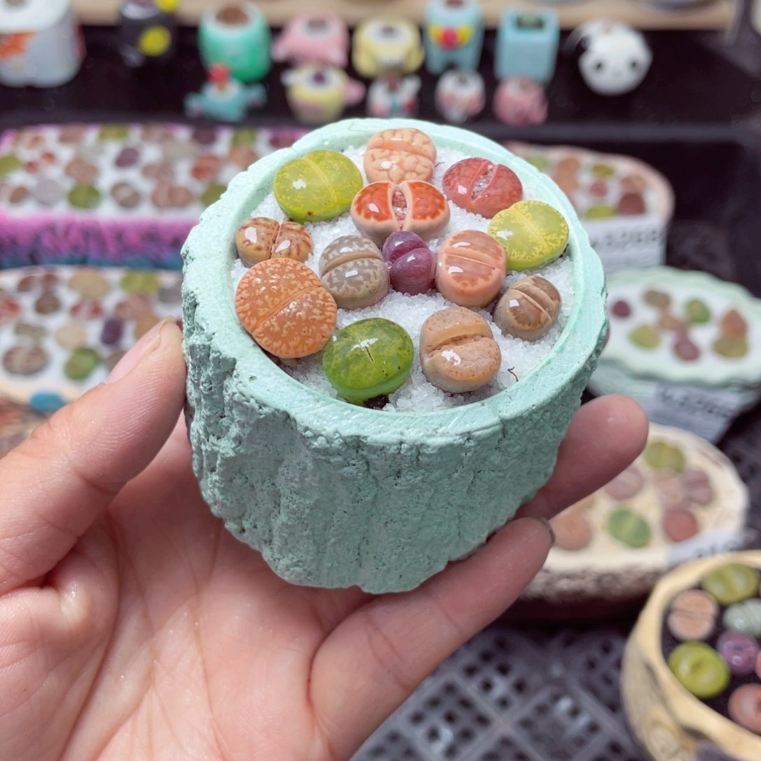 w3273 带盆土发货-零下地区拍保温箱