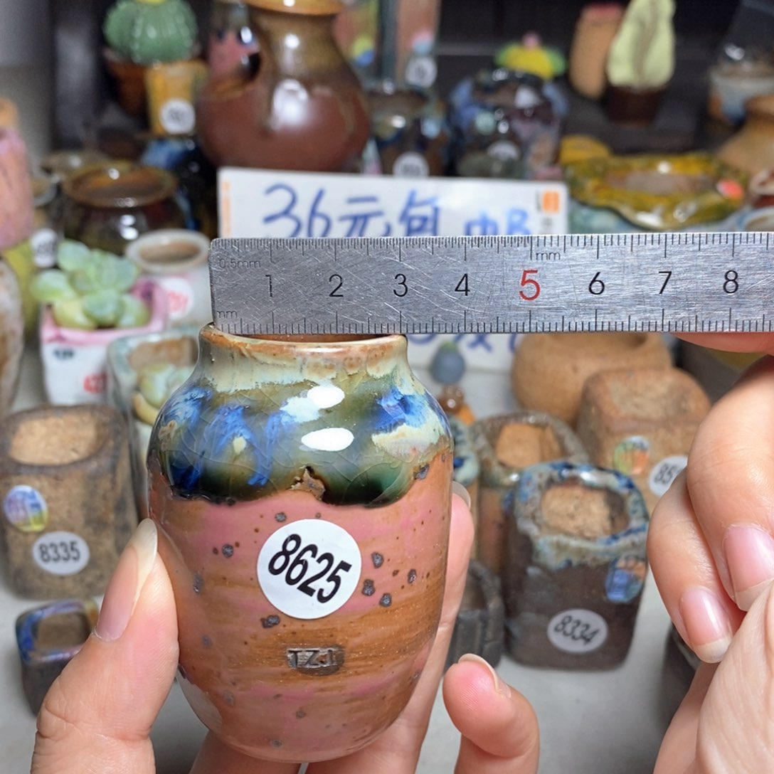 拍5送一个小礼物