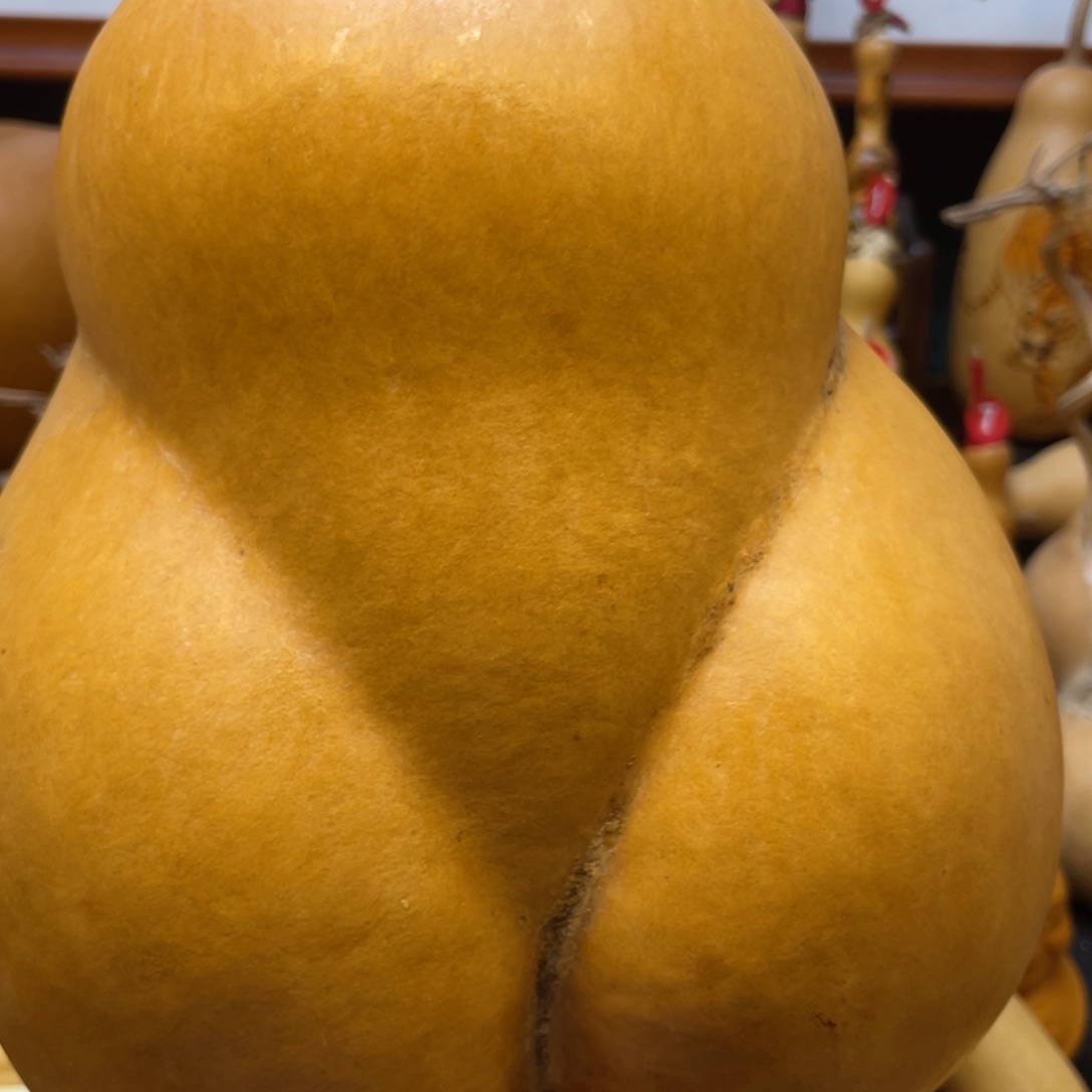 ?**?葫芦等多种颜色的小动物和动物为