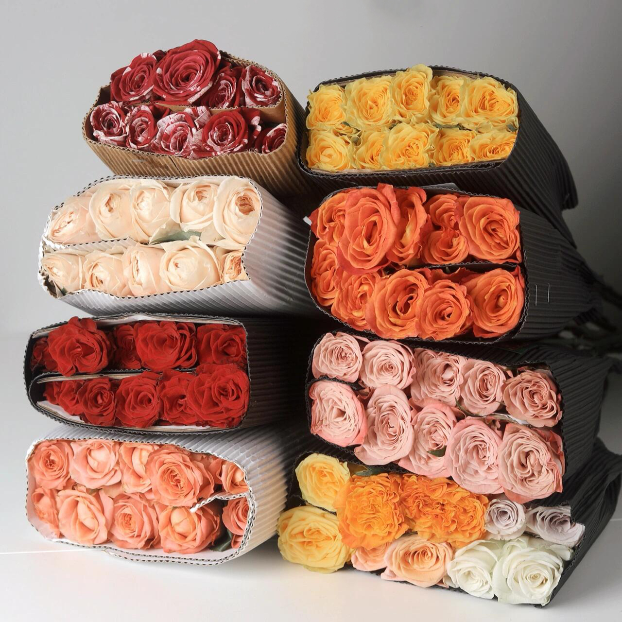 玫瑰花鲜花云南直发碎冰蓝折射泡泡多头玫瑰花家用水养真花鲜切花