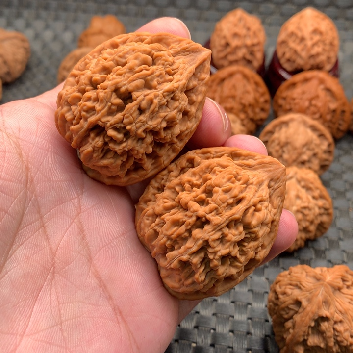 C*蚂蚁王狮子头文玩核桃