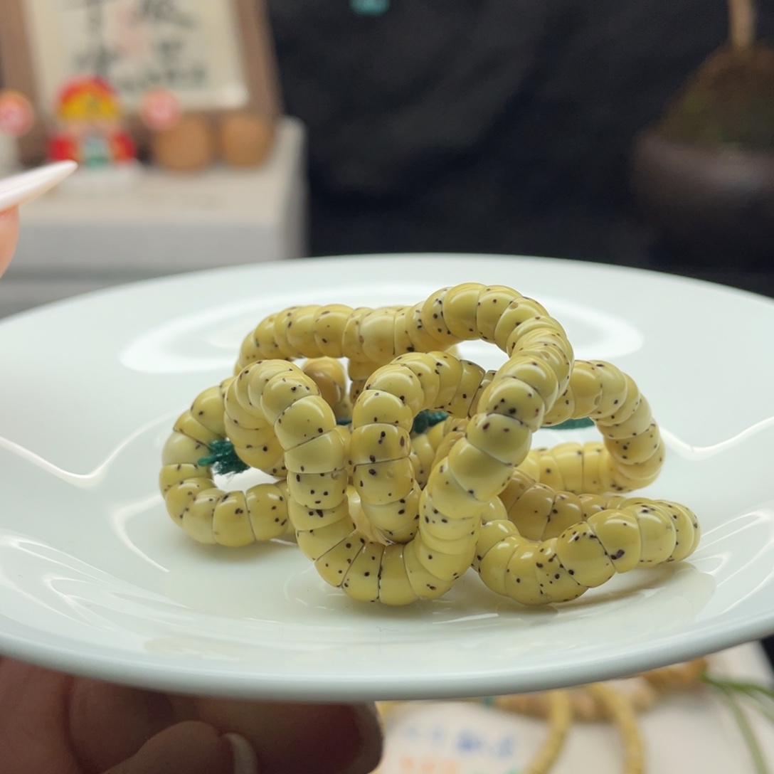 吊坠星月菩提H1 大肠