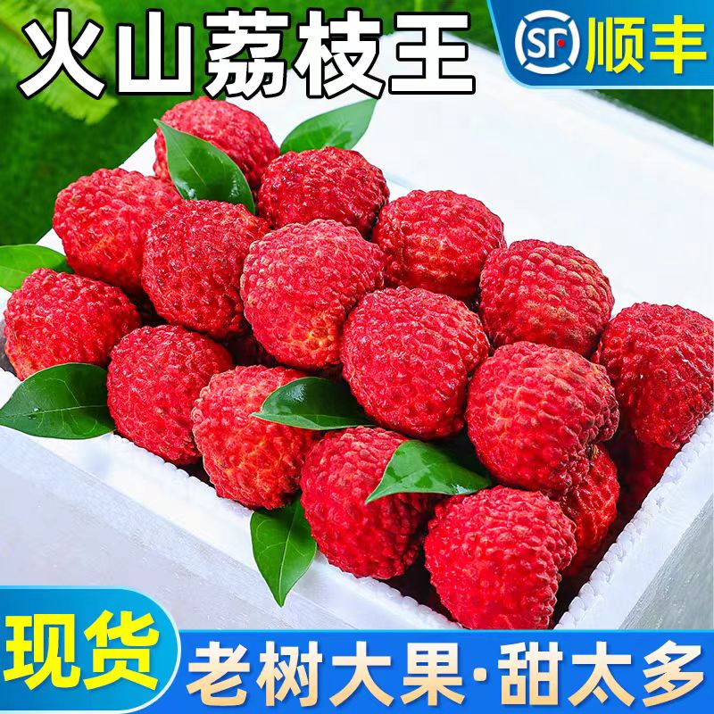 【ZPJ专属】先亏500单海南当季新鲜水果火山口荔枝王顺丰包邮送货上门荔枝同城送