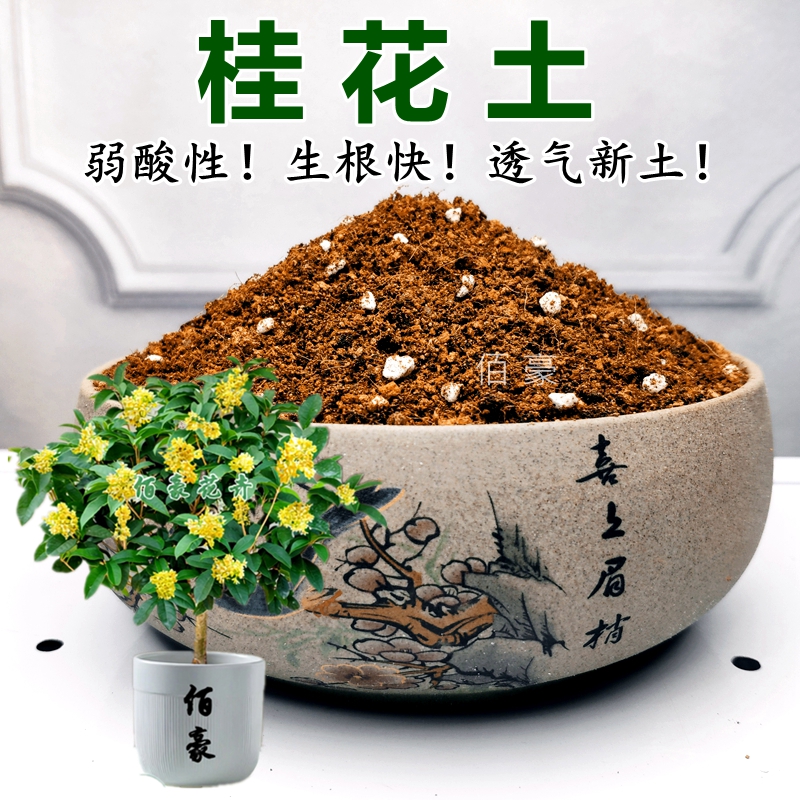 桂花专用土醉香缘基地配方土弱酸性有机土盆栽通用型营养土新土
