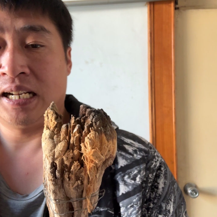 柏木（崖柏）福***照太行崖柏