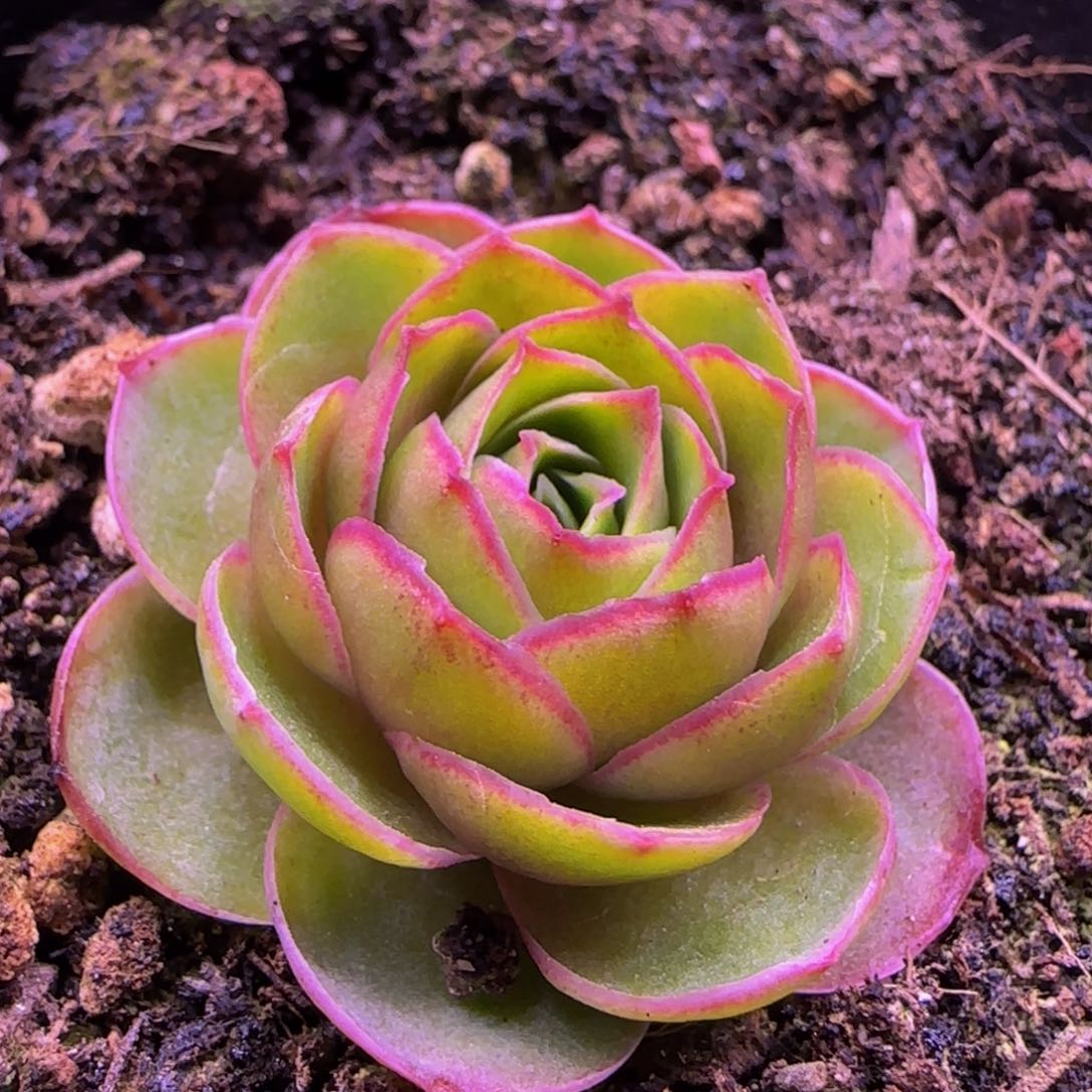 福利113434575727373733