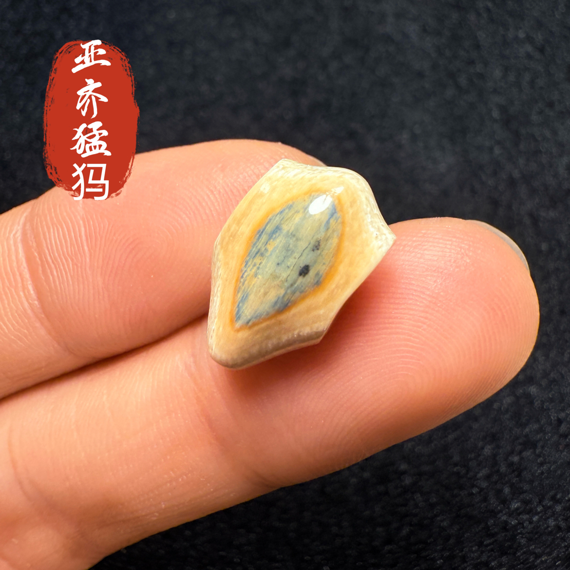 Y42猛犸象牙冰料蓝皮蓝眼睛鲨鱼背三通9*9.2*15