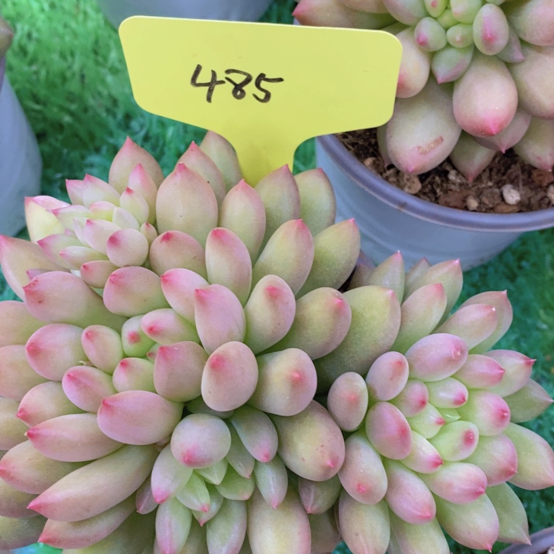 活动专场第一场，5送1