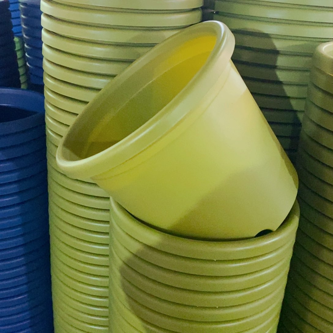 树脂特价5号果绿色6个无拖