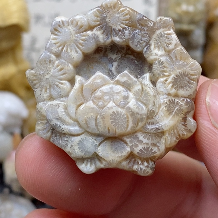 颈饰未镶嵌硅化珊瑚（珊瑚玉）有瑕 小