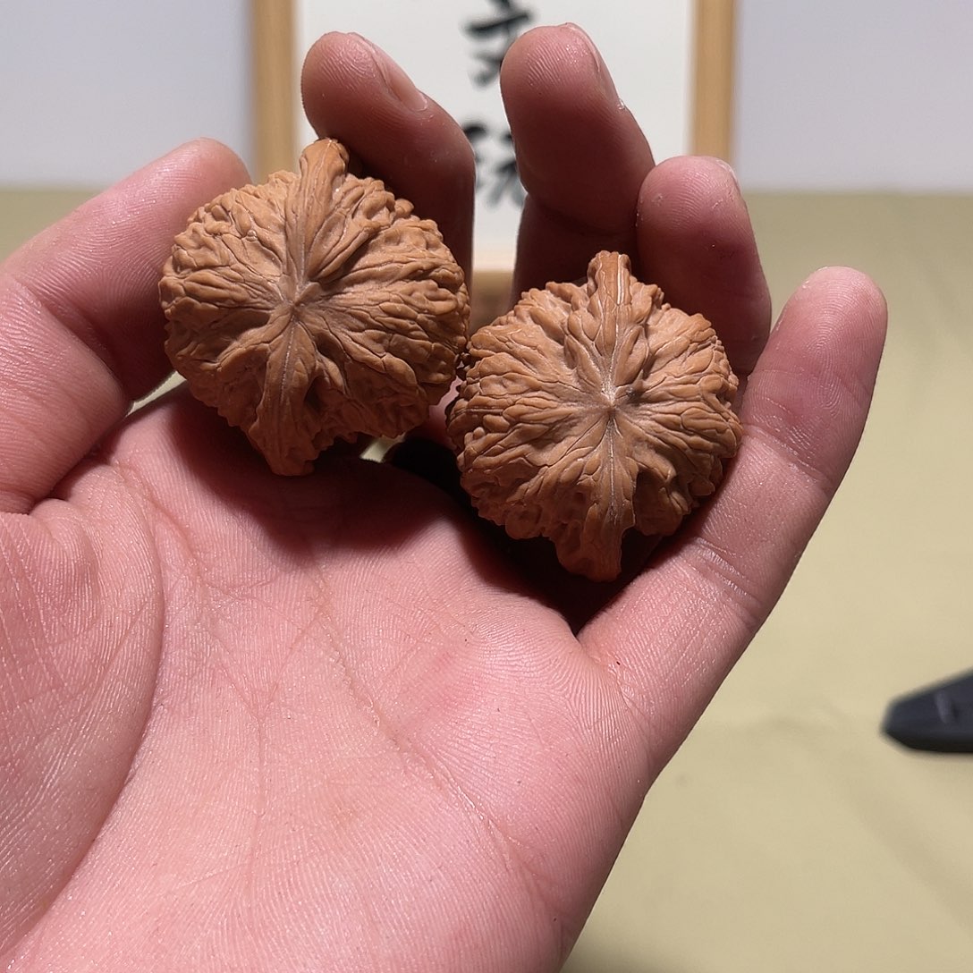 珍***珠大叶紫檀（黑酸枝木类）