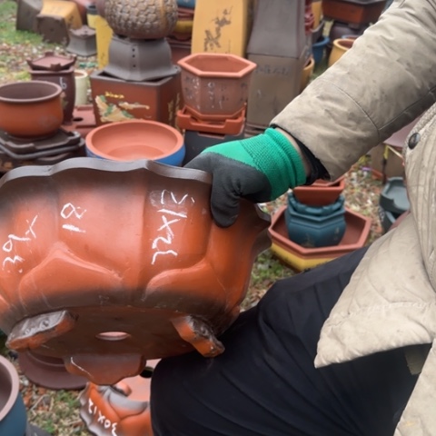 红陶紫砂花盆盆景盆栽