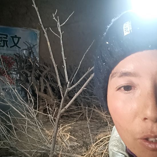 英***～完全开放文冠树一颗