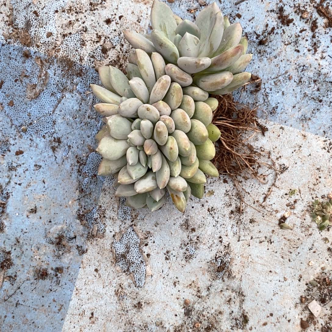 默***言2846949494994949494944