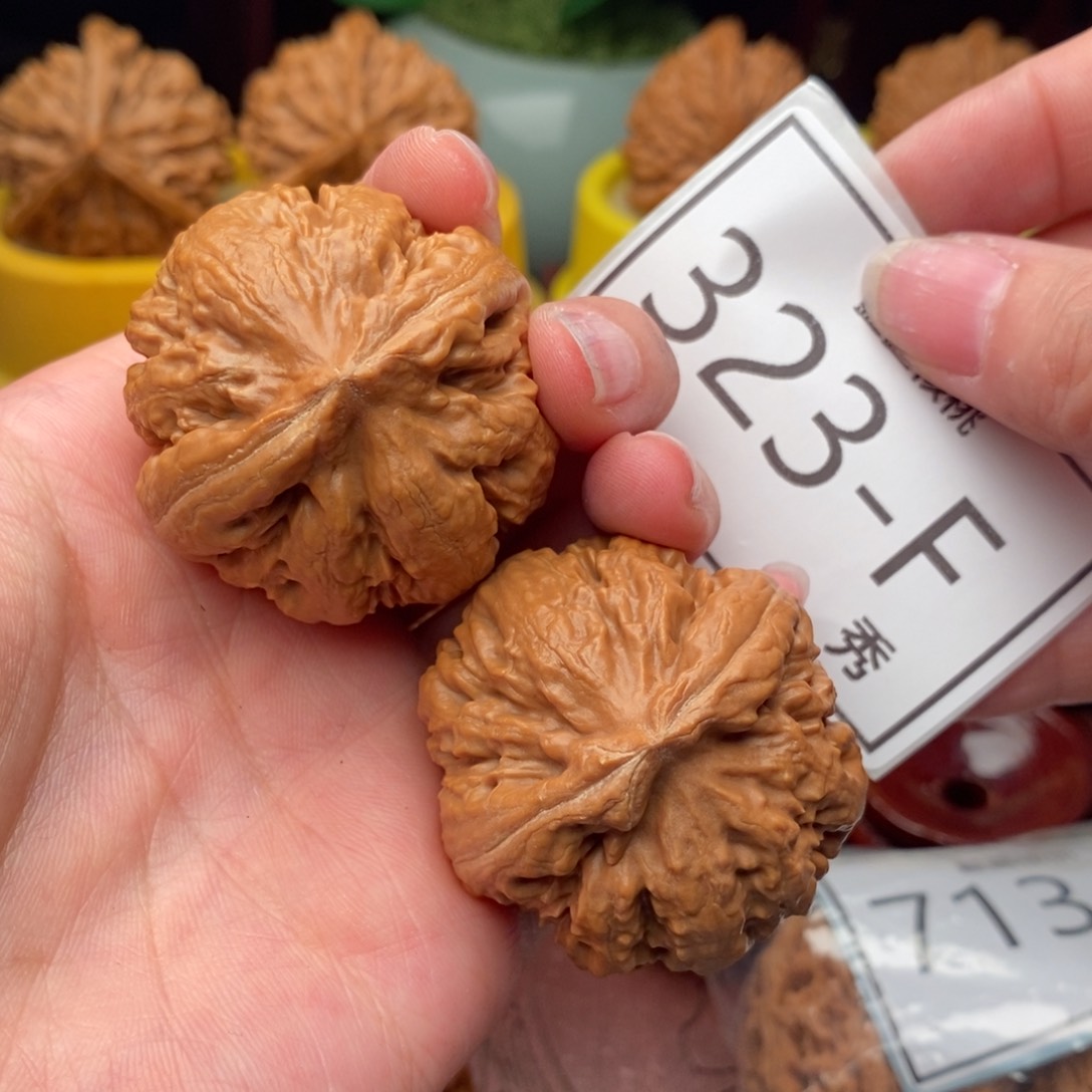 文玩核桃吊坠霸王龙40