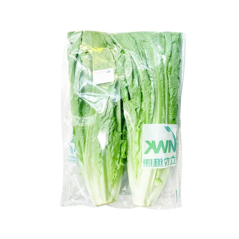 绿色油麦菜 300g/袋