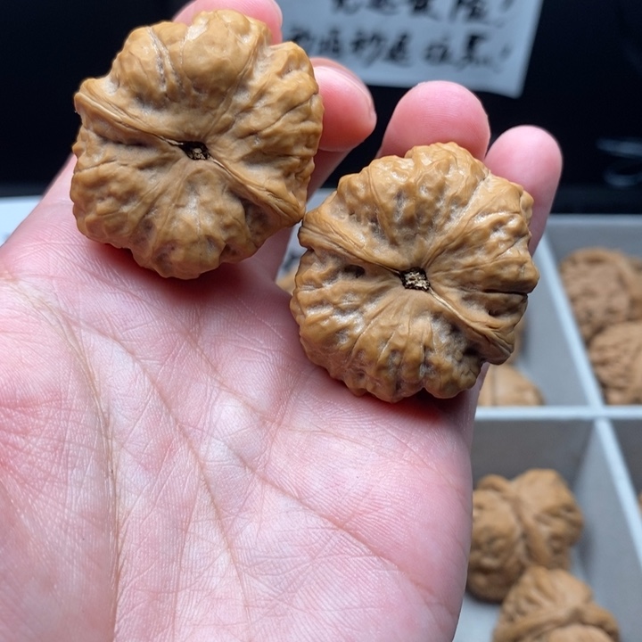 文玩核桃把件杨*蛤蟆