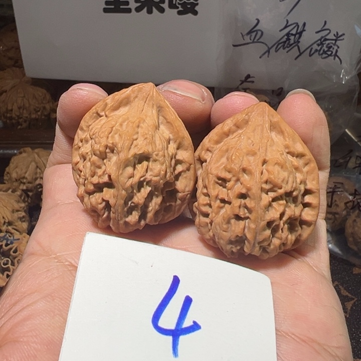 核桃全品无修赤龙